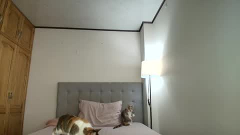 Snapshot of rosasanta8009 chatting on 19, 10, 2025 I am Rosa online show from 19, 10, 2025