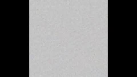 Rose online show from 23, 10, 2025