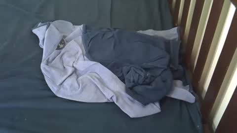 Rosey online show from 6, 4, 2026