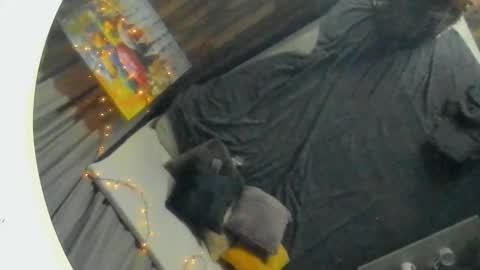 Florin online show from 27, 2, 2025