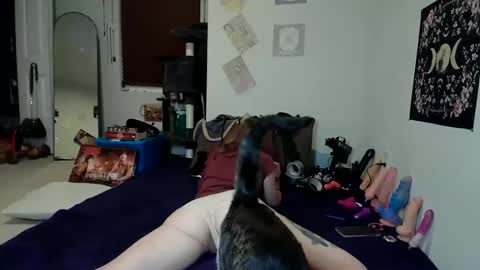 Rose Hatter online show from 3, 12, 2024