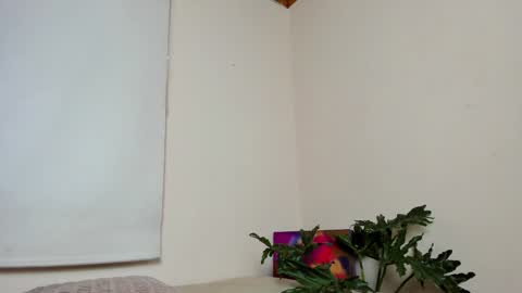 Snapshot of roselinedior chatting on 22, 12, 2024 Lyla OF roselinedior online show from 22, 12, 2024