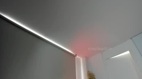 Snapshot of roselinedior chatting on 13, 9, 2025 Lyla OF roselinedior online show from 13, 9, 2025