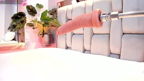 Rose online show from 28, 9, 2025