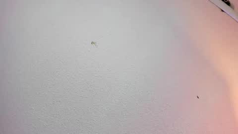 Snapshot of rosie_jhons chatting on 2, 2, 2025 rosie_jhons online show from 2, 2, 2025