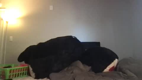 Snapshot of rosielinda16 chatting on 3, 3, 2026 Rosie online show from 3, 3, 2026