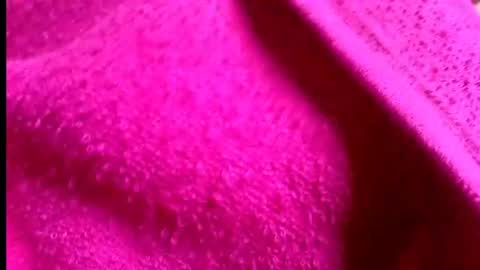 Rosi online show from 14, 7, 2026