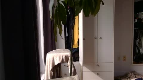 RossCollab online show from 2, 3, 2026