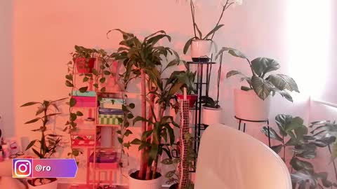 Im Ross   online show from 24, 10, 2025