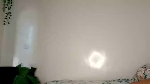Snapshot of roundbootie chatting on 26, 4, 2026 roundbootie online show from 26, 4, 2026
