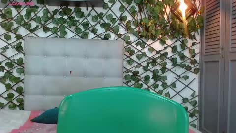 Rous online show from 27, 12, 2024