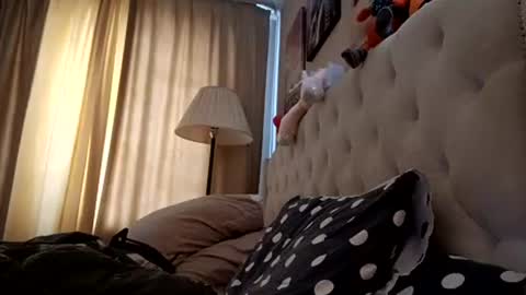 Snapshot of roxolanaa_sexy chatting on 3, 7, 2026 ROXOLANAA SEXY online show from 3, 7, 2026