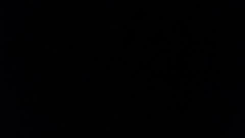 Rubi online show from 7, 2, 2025