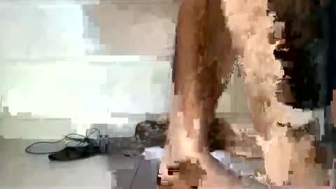 tareq online show from 5, 12, 2024