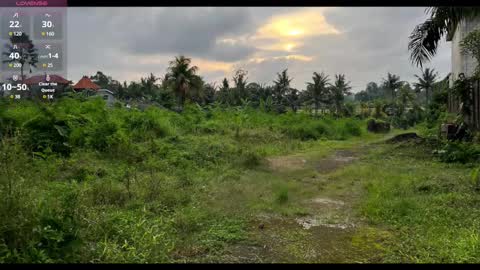 Paul online show from 22, 2, 2025