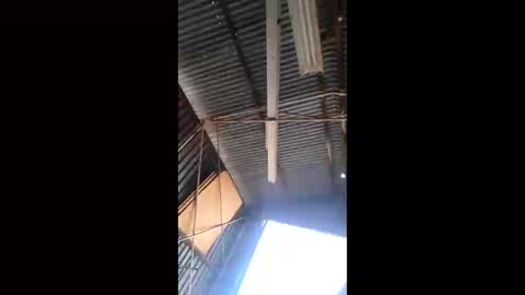 rustynuts95716 online show from 10, 3, 2026