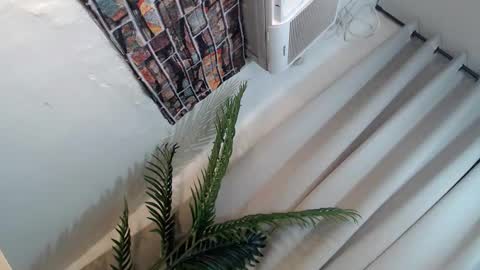 Its me Ryan  online show from 26, 1, 2025