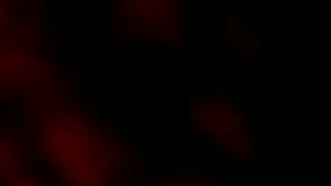 Snapshot of ryanstar7 chatting on 18, 1, 2025 Ryan Star online show from 18, 1, 2025