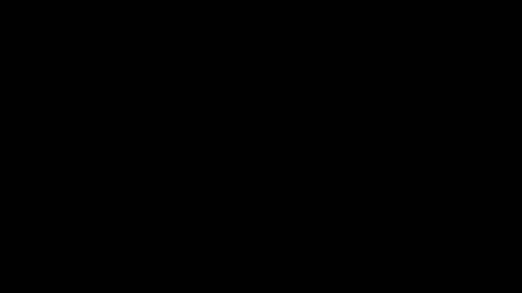 Snapshot of sabrina81_ chatting on 25, 2, 2026 sabrina81_ online show from 25, 2, 2026