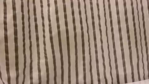 Snapshot of sacalaschichiss chatting on 29, 10, 2025 Dee online show from 29, 10, 2025