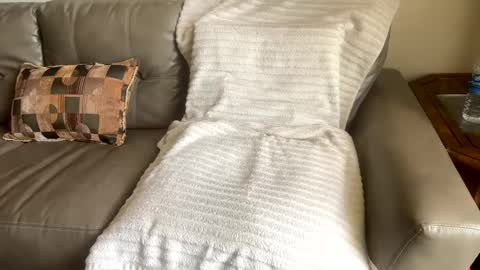 Snapshot of sackskincreamer chatting on 22, 2, 2025 R online show from 22, 2, 2025