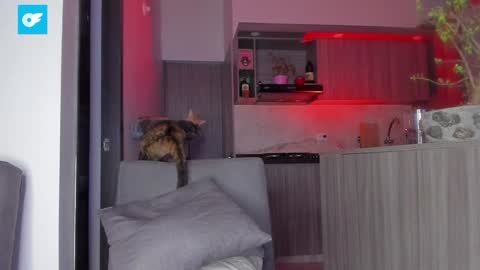 Snapshot of sag_1998 chatting on 21, 1, 2025 Sag online show from 21, 1, 2025