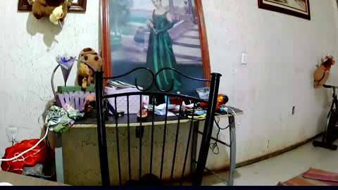 Snapshot of sailor_ruby7 chatting on 2, 10, 2025 ruby chocoholic cakeholic coffeeholic cookieholic online show from 2, 10, 2025