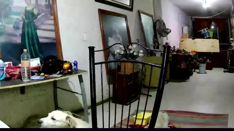 Snapshot of sailor_ruby7 chatting on 18, 11, 2025 ruby chocoholic cakeholic coffeeholic cookieholic online show from 18, 11, 2025