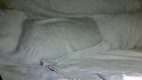 Snapshot of saintd17 chatting on 31, 12, 2024 SD17 online show from 31, 12, 2024