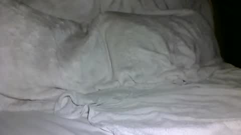 Snapshot of saintd17 chatting on 5, 2, 2025 SD17 online show from 5, 2, 2025