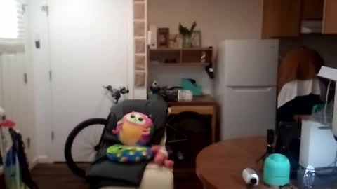 salis1981 online show from 25, 9, 2025