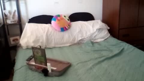 salis1981 online show from 17, 10, 2025