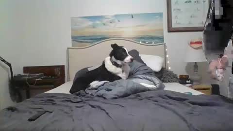 Snapshot of salsbud2022 chatting on 28, 2, 2025 salsbud2022 online show from 28, 2, 2025