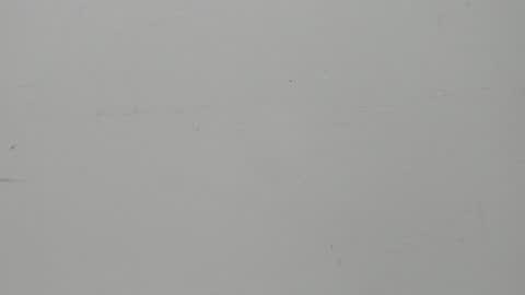 SALVATORE online show from 5, 2, 2025