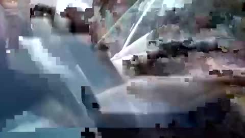 sam223382879 online show from 25, 12, 2024