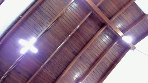 Sofia  online show from 6, 12, 2024