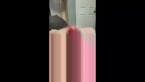 samdprl52 online show from 22, 3, 2026