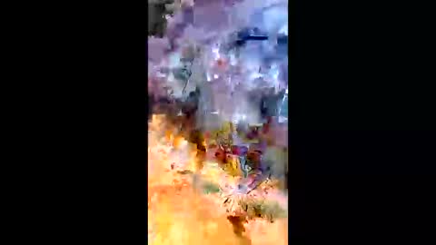 sameroptike67 online show from 20, 4, 2026