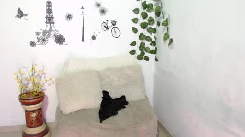 SAMIRA online show from 8, 1, 2025