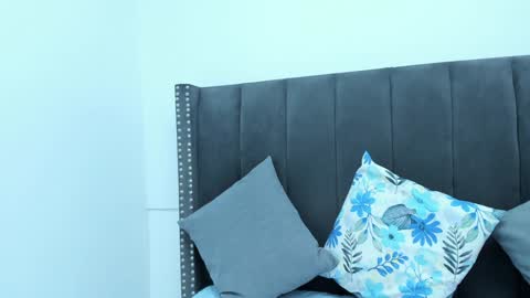 Sammy online show from 28, 12, 2024