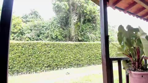 Samuel online show from 12, 12, 2024