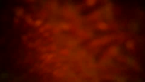 samueltal online show from 16, 9, 2025