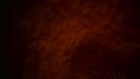 samueltal online show from 15, 12, 2025