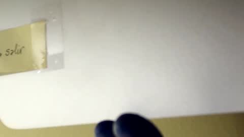 sanbig69 online show from 6, 12, 2024