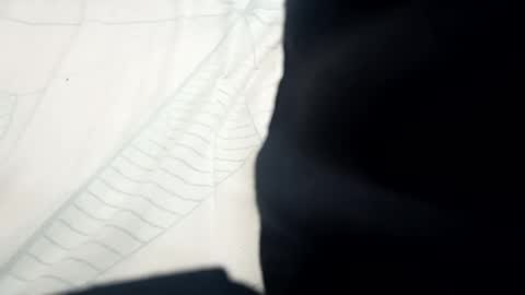 Snapshot of santhoshlees chatting on 13, 2, 2025 Harder online show from 13, 2, 2025