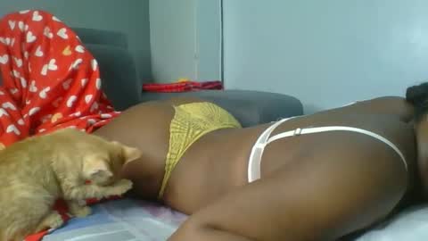 sapgaal online show from 7, 1, 2026