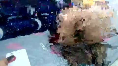 Sara love online show from 2, 2, 2025