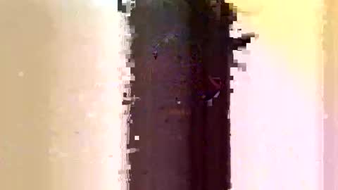 Snapshot of sara_muscle chatting on 7, 6, 2026 Sara online show from 7, 6, 2026