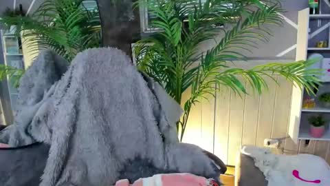 Snapshot of saraandsofi02 chatting on 31, 12, 2024 sofia gomez420 online show from 31, 12, 2024