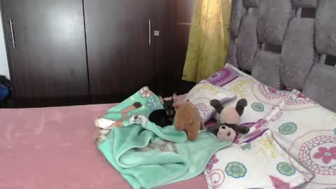 Snapshot of sarahott_1 chatting on 4, 6, 2026 Lia online show from 4, 6, 2026